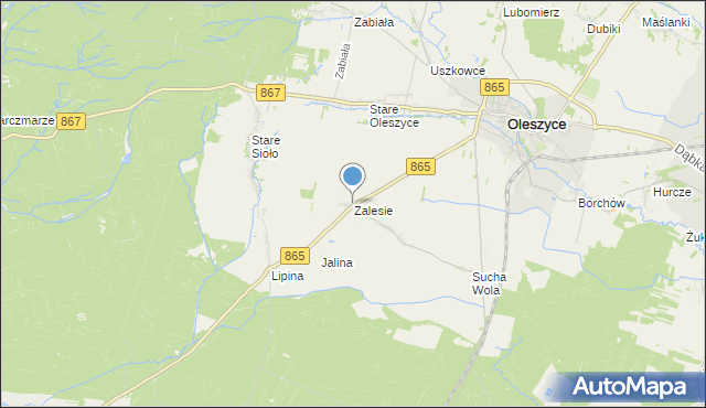 mapa Zalesie, Zalesie gmina Oleszyce na mapie Targeo
