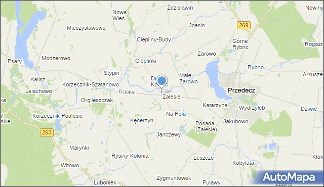 mapa Zalesie, Zalesie gmina Przedecz na mapie Targeo