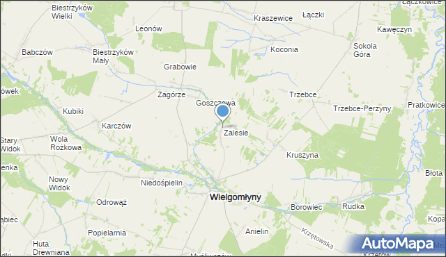 mapa Zalesie, Zalesie gmina Wielgomłyny na mapie Targeo