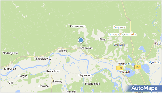 mapa Zamyślin, Zamyślin gmina Międzychód na mapie Targeo