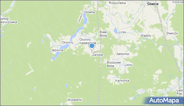 mapa Zarośla, Zarośla gmina Śliwice na mapie Targeo