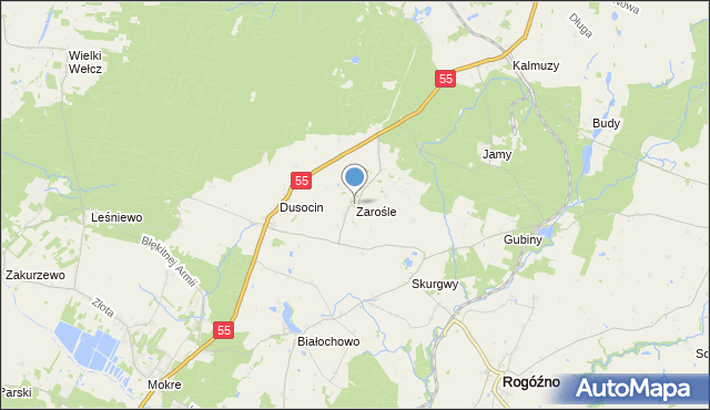 mapa Zarośle, Zarośle gmina Rogóźno na mapie Targeo