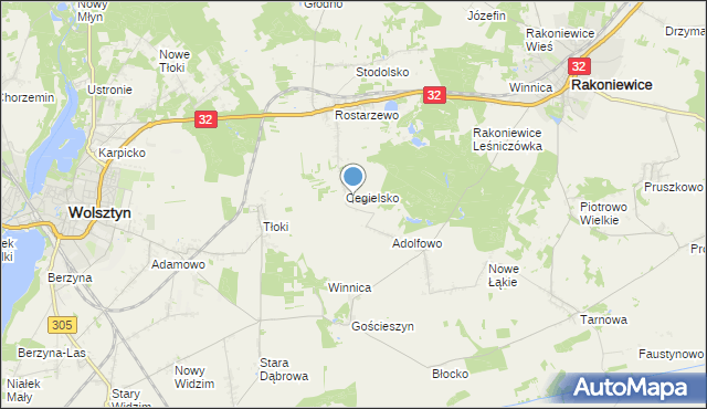 mapa Zdrogowo, Zdrogowo gmina Wolsztyn na mapie Targeo