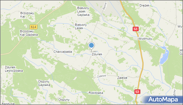 mapa Zdunek, Zdunek na mapie Targeo