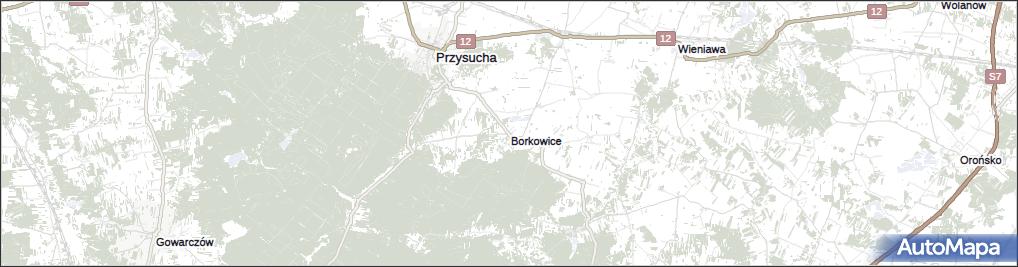 Borkowice
