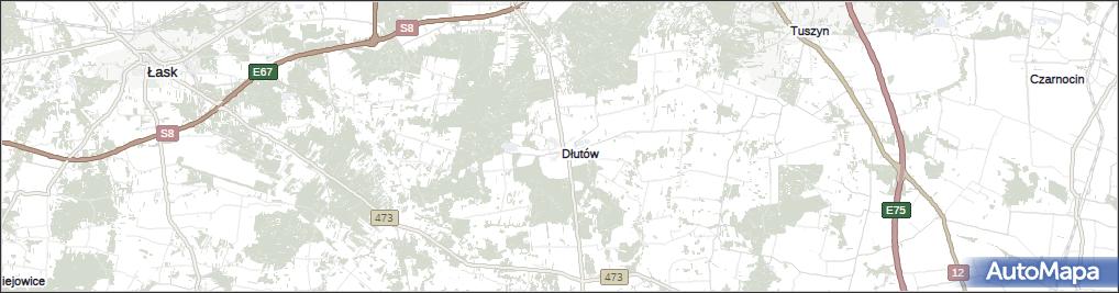 Dłutów