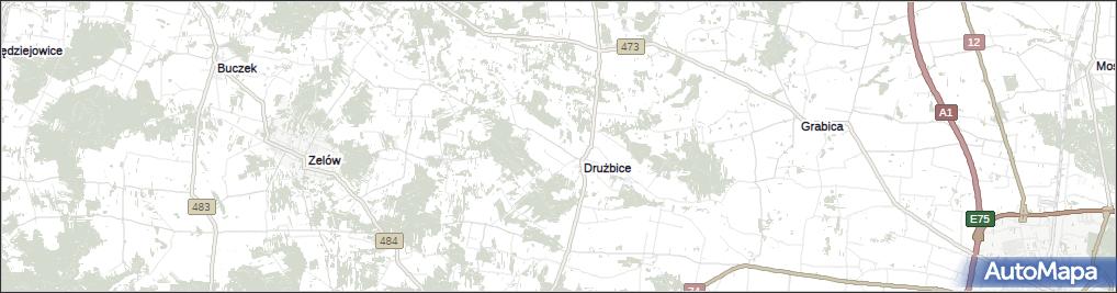 Drużbice-Kolonia