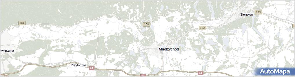 Międzychód