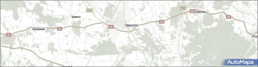 Ogonowice