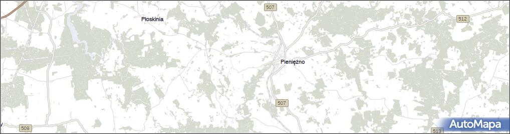 Pieniężno