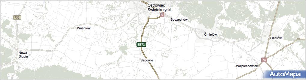 Romanów