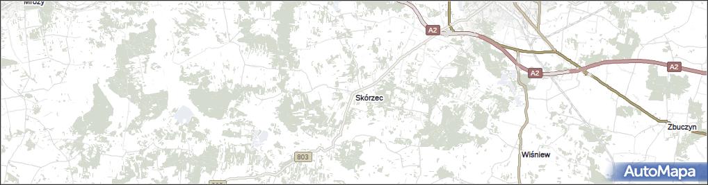 Skórzec