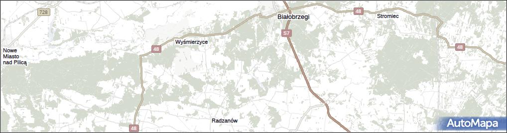 Stawiszyn