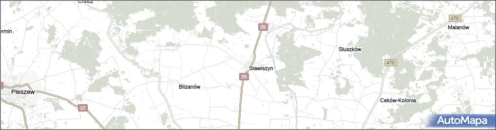 Stawiszyn