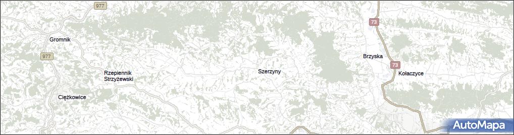 Szerzyny