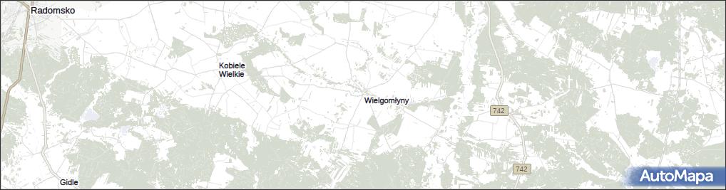 Wielgomłyny