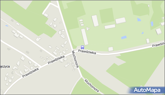 Przystanek Ogród Botaniczny 03. ZTM Warszawa - Warszawa (id 330503) na mapie Targeo