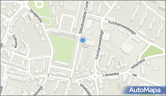 Action - Oleśnica, Mari Skłodowskiej-Curie 4 D, Oleśnica 56-400, godziny otwarcia