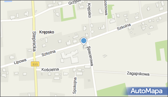 AED - Defibrylator, Szkolna 4, Krępsko 72-113