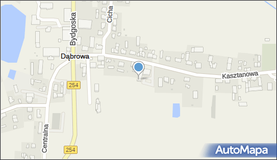 AED - Defibrylator, Kasztanowa 16, Dąbrowa 88-306