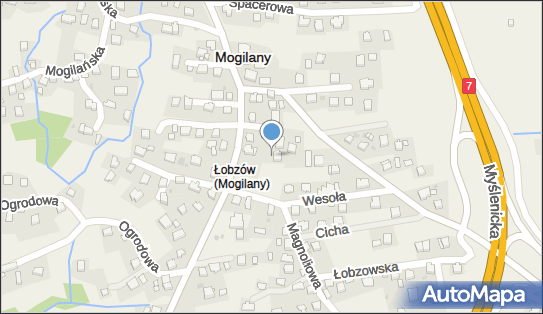 Dominika Kowalczyk F.H.U. DK SERVICES, Zakopiańska 39, Mogilany 32-031, numer telefonu