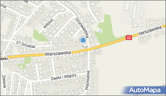 Allegro One Box Automaty, Warszawska 61, Piaski 63-820, godziny otwarcia