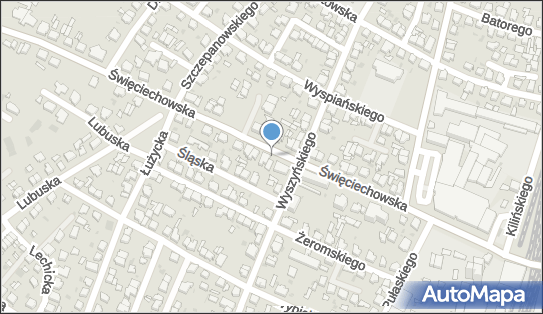 Allegro One Box Automaty, Święciechowska 20, Leszno 64-100, godziny otwarcia