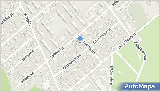 Allegro One Box Automaty, Grunwaldzka 14, Pabianice 95-200, godziny otwarcia