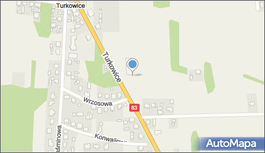 Allegro One Box Automaty, Turkowice 138A, Turkowice 62-700, godziny otwarcia