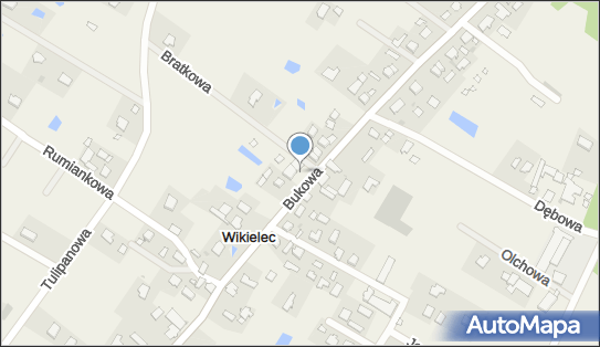 Allegro One Box Automaty, Bukowa 81, Wikielec 14-200, godziny otwarcia