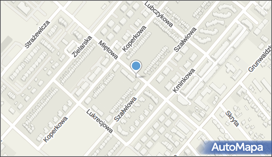 Allegro One Box Automaty, Miętowa 7, Plewiska 62-064, godziny otwarcia