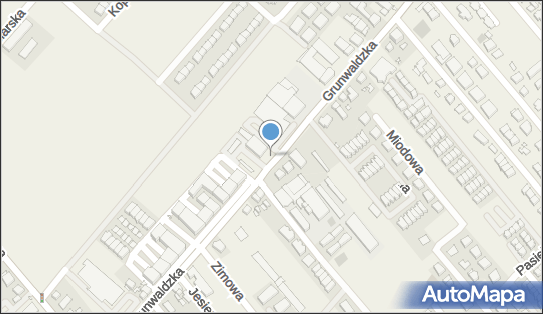 Allegro One Box Automaty, Grunwaldzka 511/513, Plewiska 62-064, godziny otwarcia