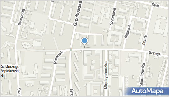 Allegro One Box Automaty, Grochowska 110, Poznań 60-335, godziny otwarcia