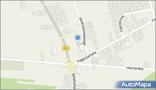 Allegro One Box Automaty, Pajęczańska 1/3, Popów 42-110, godziny otwarcia