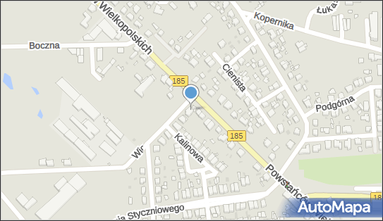 Allegro One Box Automaty, Wiosny Ludów 36, Szamotuły 64-500, godziny otwarcia