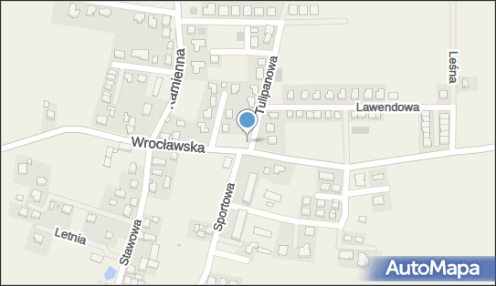 Allegro One Box Automaty, Tulipanowa 1, Piecowice 55-093, godziny otwarcia