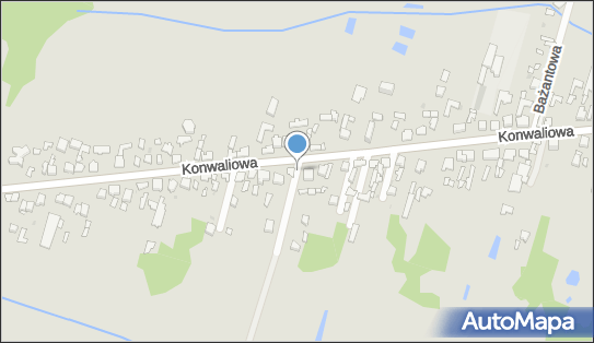 Allegro One Box Automaty, Konwaliowa 195, Częstochowa 42-280, godziny otwarcia