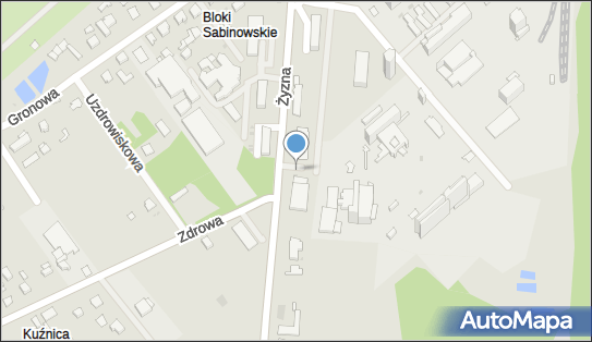 Allegro One Box Automaty, Żyzna 13 BA, Częstochowa 42-202, godziny otwarcia