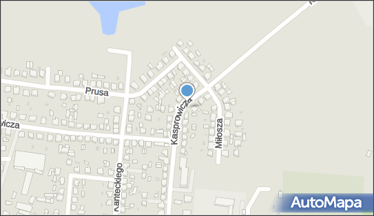 Allegro One Box Automaty, Kasprowicza 20, Strzelno 88-320, godziny otwarcia