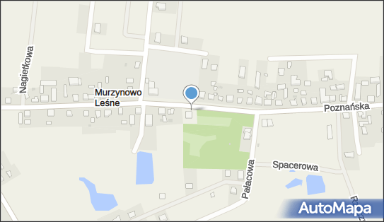 Allegro One Box Automaty, Poznańska 49, Murzynowo Leśne 63-023, godziny otwarcia