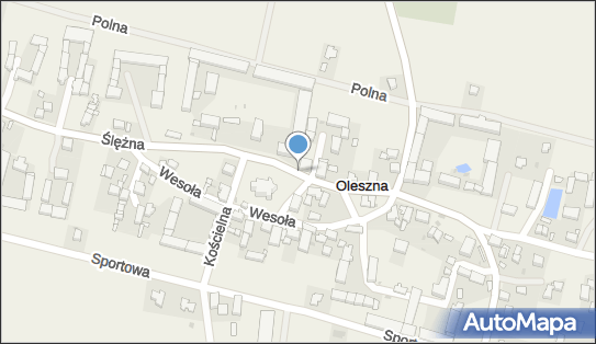 Allegro One Box Automaty, Ślężna 18, Oleszna 58-214, godziny otwarcia