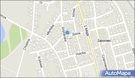 Allegro One Box Automaty, Snycerska 3, Leszno 64-100, godziny otwarcia