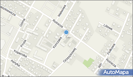 Allegro One Box Automaty, Rolnicza 3b, Strzałkowo 62-420, godziny otwarcia