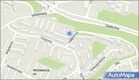 Allegro One Box Automaty, Pana Tadeusza 3, Lublin 20-609, godziny otwarcia