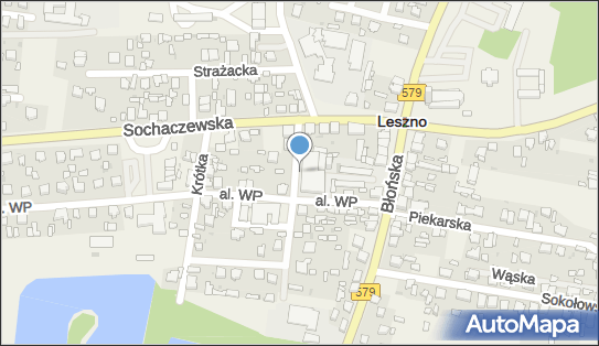 Allegro One Box Automaty, Al. Wojska Polskiego 4, Leszno 05-084, godziny otwarcia