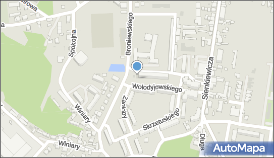 Allegro One Box Automaty, Wołodyjowskiego 1f, Rawicz 63-900, godziny otwarcia