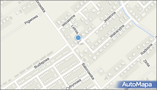 Allegro One Box Automaty, Jesienna 4, Skórzewo 60-185, godziny otwarcia