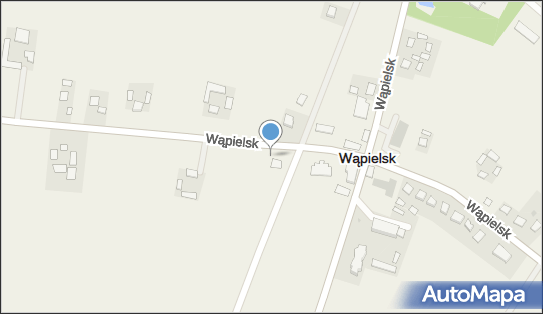 Allegro One Box Automaty, Wąpielsk 2A, Wąpielsk 87-337, godziny otwarcia