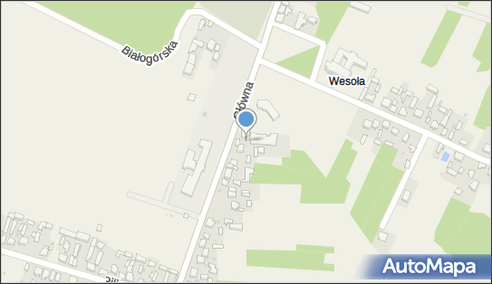 Allegro One Box Automaty, Główna 21a, Smardzewice 97-213, godziny otwarcia