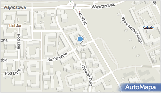 Allegro One Box Automaty, Na Przyzbie/Kabacki Dukt 12, Warszawa 02-798, godziny otwarcia